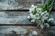 A delicate bouquet of fresh snowdrops with dew drops on their petals, lying on a rough, aged wooden plank.