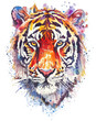 Watercolor Painting of Tiger, isolated on White Background. AI generated Illustration.
