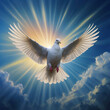Friedensbote im Himmelslicht: Strahlende Taube als Symbol des Heiligen Geistes