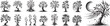 small ornamental fruit trees with abundant leaves and branches black vector laser cutting engraving