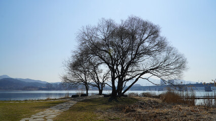 Wall Mural - the spring scenery of the Han River