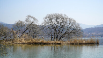 Wall Mural - the spring scenery of the Han River