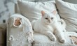 A cute white cat is sitting on a damaged and torn sofa, caused by its sharp claws.	