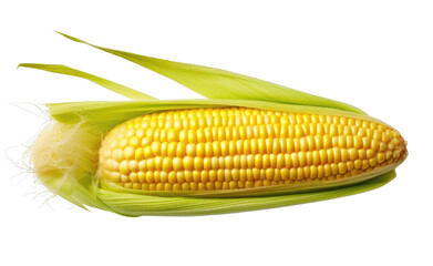 Wall Mural - A yellow corn cob with a green leaf on top. The corn is fresh and ready to be eaten