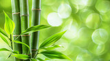 Fototapeta Sypialnia - bamboo background close up сreated with Generative Ai
