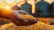 A detailed shot of corn kernels in a farmer’s hand with grain bin silos blurred in the background, focusing on the product of hard work and cultivation, with copy space