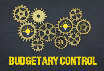 Canvas Print - Budgetary Control	