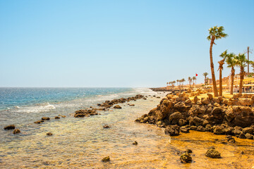 Wall Mural - view of the sea shore in Sahl Hasheesh for background