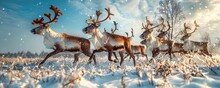 Reindeer Running In Snowy Field Under Sky