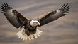 An Eagle With Its Wings Outstretched Gliding Effo