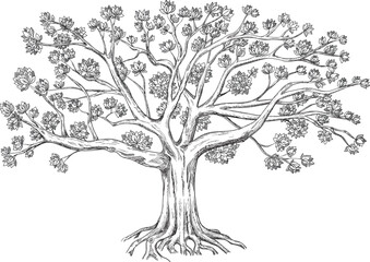 Family tree. Vector illustration isolated on white background. 