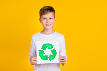 Poster - Photo of positive funky boy wear white shirt showing recycle board empty space isolated yellow color background