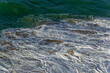 View over Atlantic ocean water from Cabo da Roca or Cape Roca in Portugal.