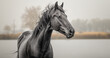 Equine Beauty in Monochrome Explore the timeless beauty of horses in black and white against a clean white background. Image generated by AI