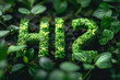 The image is a close up of a green field H2 written. Green hydrogen concept