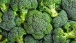 Fresh tasty broccoli background. 