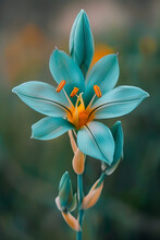 Radiating Elegance: The Mesmerizing Turquoise Ixia Viridiflora In Full Bloom