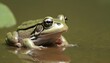 A Frog With Its Mouth Agape Catching Insects