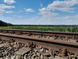 Eisenbahnschienen am Bahnübergang zwischen Pritzerbe und Rathenow
