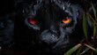 The dark, mysterious eyes of the panther, like two threatening gloss in the darkne