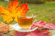 Glass cup of tea on a table covered by red maple leaves outdoors