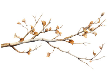 watercolor brown leaf branch clipart isolated on transparent background