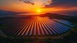 Orange Hues of Renewables: Drone View of Solar Farm at Sunrise, generative ai