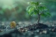 An animation of a Bitcoin being planted like a seed in digital soil
