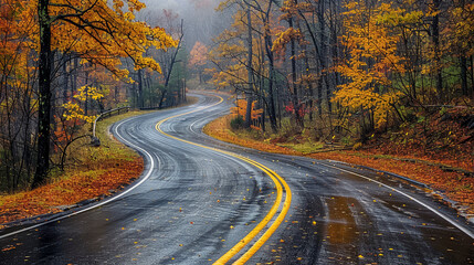 Poster - Autumn Drive, Curvy Wet Road through Colorful Fall Forest