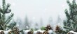 Festive christmas background with spruce branch and snowflakes frame, offering ample space for text