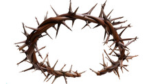 Crown Of Thorns Isolated On Transparent Background