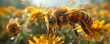 Urban beekeeping initiative uses rooftop hives to pollinate city gardens, promoting sustainability and biodiversity