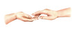 © NATASHA-CHU - Hands of a white woman, palms side view, reaching towards each other to touch. Hand drawn watercolor illustration. Elements isolated from background