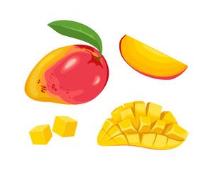 Wall Mural - Mango set. Whole tropical fruit, slice, peeled and cut. Vector cartoon illustration.