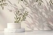 Product display podium for natural product. Empty scene with olive tree branch cosmetic mockup clean