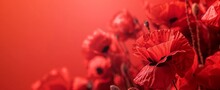 Close Up Of Red Poppy Flowers In The Background Of A Red Field, A Wide Banner With Copy Space Generative AI