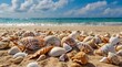 © mischenko - many shells, seashell on a sandy beach
