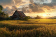 Paddy field with abandoned house during sunset