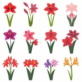 Fototapeta Konie - Amaryllis Flower Icon Set, Garden Amaryllis Flat Design, Abstract Spring Amaryllis Symbol