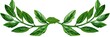 Laurel Wreath Frame for Celebration and Honour: Festival-Style Chaplet with Leaves Perfect for Recognition and Ranking