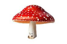 Fly Mushroom, Isolated, Pristine White Background, Emphasizes Texture, Vibrant Red Cap Tinged With Gold, Stem Curving Slightly, High-quality Stock Photo, UHD Drawing, Ultra-clear