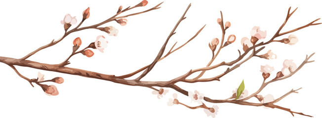 Wall Mural - Watercolor illustration willow branches and tree branch without leaves. Brown dry straight twig. Isolated on a white background. Spring floral easter elements. For holiday print design