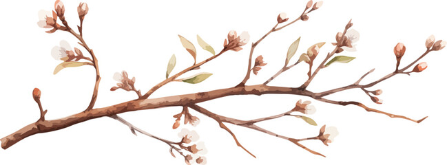 Wall Mural - Watercolor illustration willow branches and tree branch without leaves. Brown dry straight twig. Isolated on a white background. Spring floral easter elements. For holiday print design
