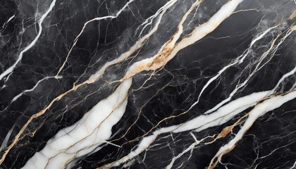 Wall Mural - black marble texture background black marble background with white veins