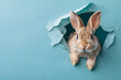 A fluffy eared rabbit jumps out of a torn hole in a paper background with a blue wall, with an Easter bunny banner in the background.