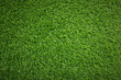 © New Africa - Fresh green grass as background outdoors, top view