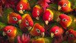 Joyful chirping resonates in Rotund Birds Paradise, round parrots flaunt neon feathers, their glossy eyes brimming with life