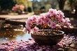 Houseplant with pink flowers in flowerpot by pond on rocks