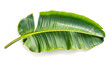 Banana leaf isolated white background, bright green present comforting moisture