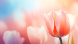 Fototapeta Perspektywa 3d - Beautiful tulip bouquet and bokeh background, Thanksgiving Mother's Day concept illustration